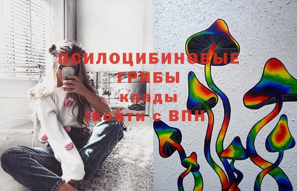 эйфоретик Абинск