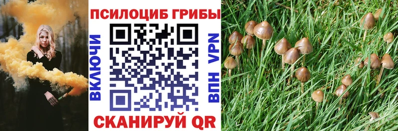 Галлюциногенные грибы Cubensis  omg сайт  Конаково 